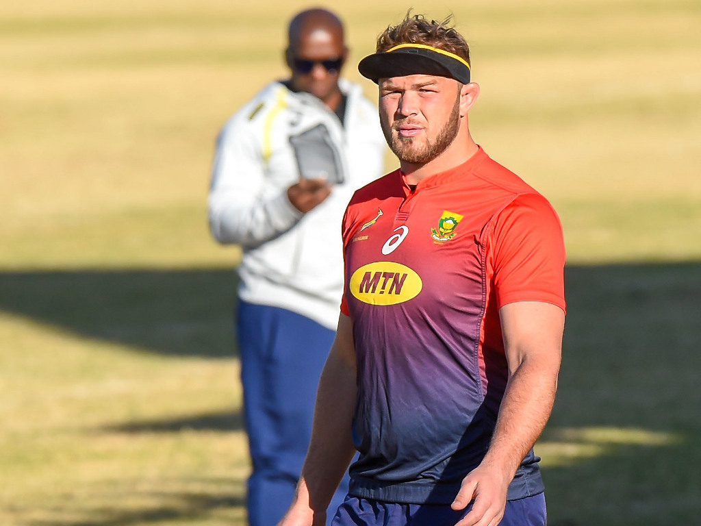 south africa rugby training jersey