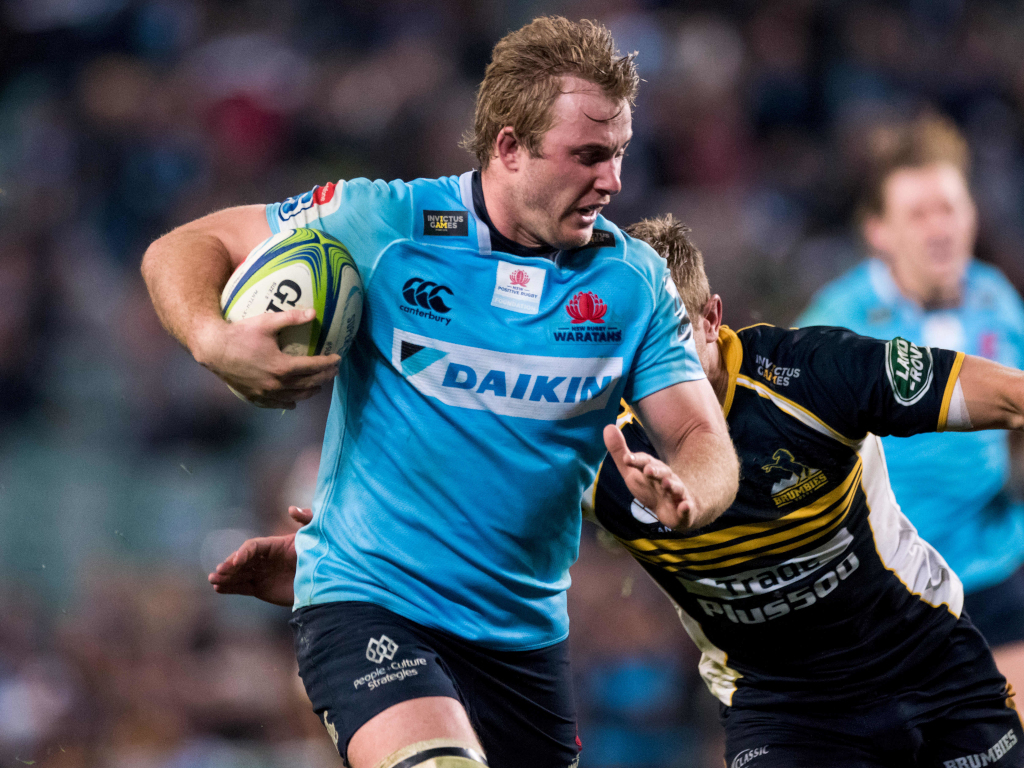 Brumbies sign David Pocock replacement from Waratahs