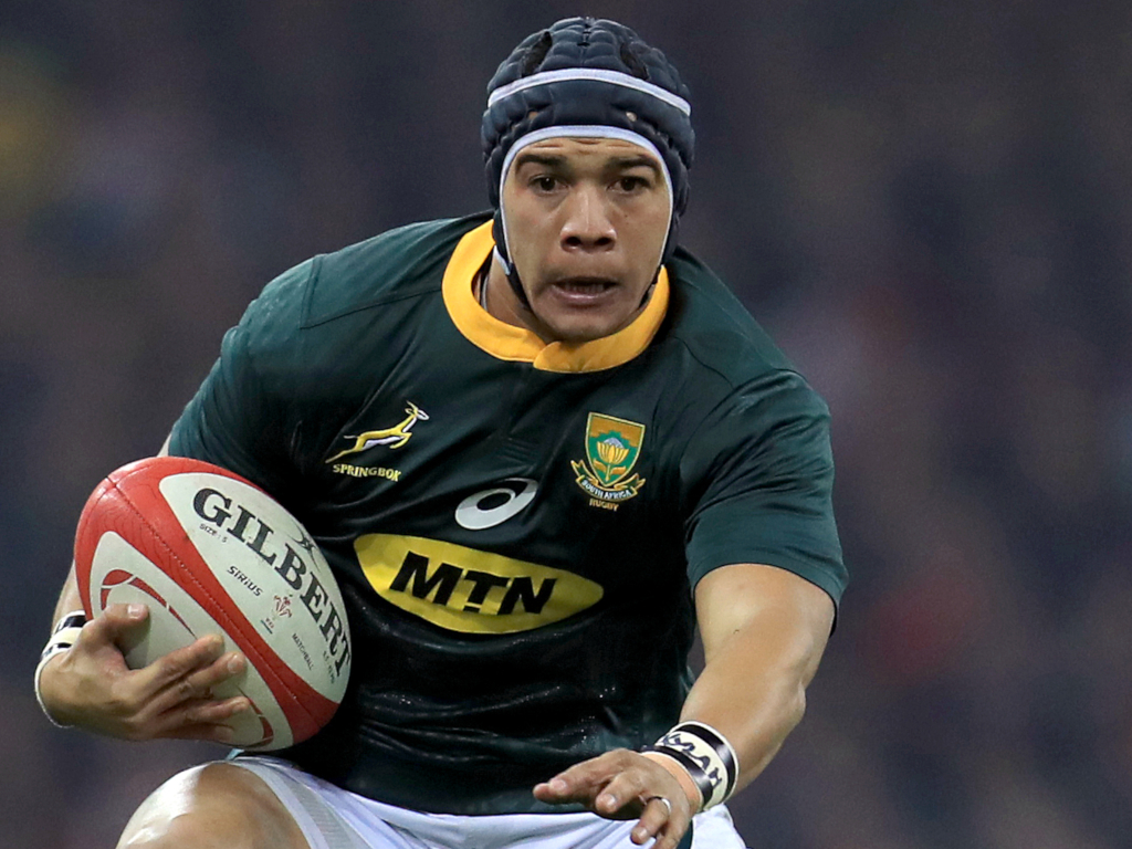 Rugby Union Today: Springboks ease past Japan | PlanetRugby : PlanetRugby
