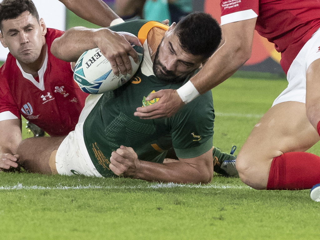 RWC final 2019: Date, time, TV channel, host city, H2H record and teams