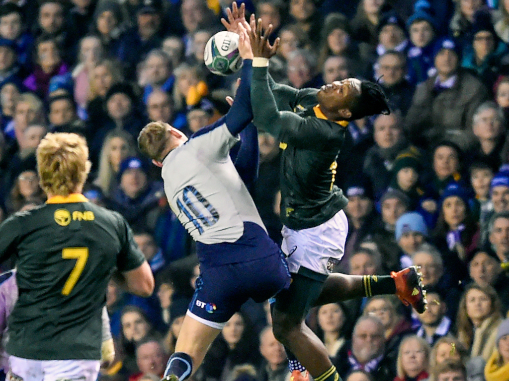 Champions Springboks to face Scotland in 2020 opener