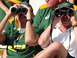 Springboks fans