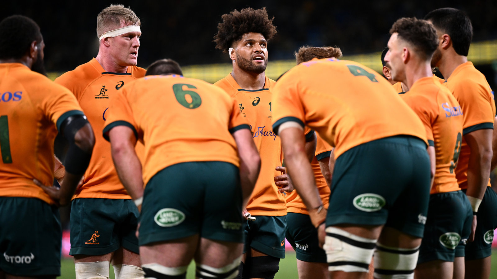 Rugby Championship: Wallabies turn focus to Bledisloe Cup after disappointing Springbok defeat