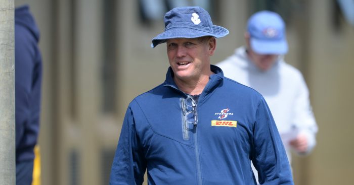 Stormers coach John Dobson looks on during a preseason training session.