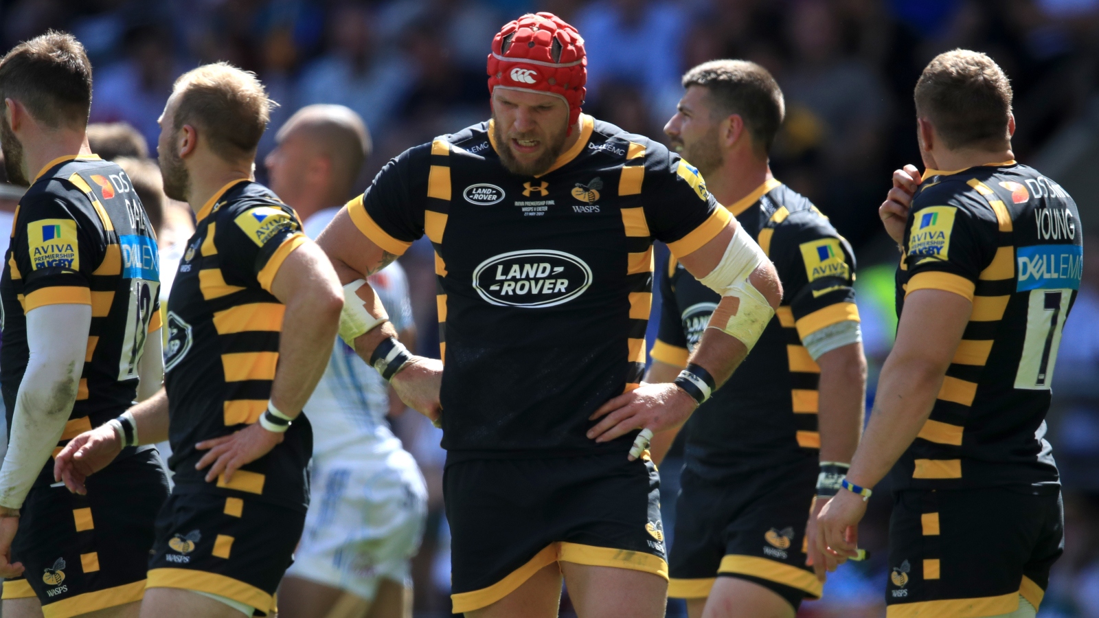 Wasps rugby clearance