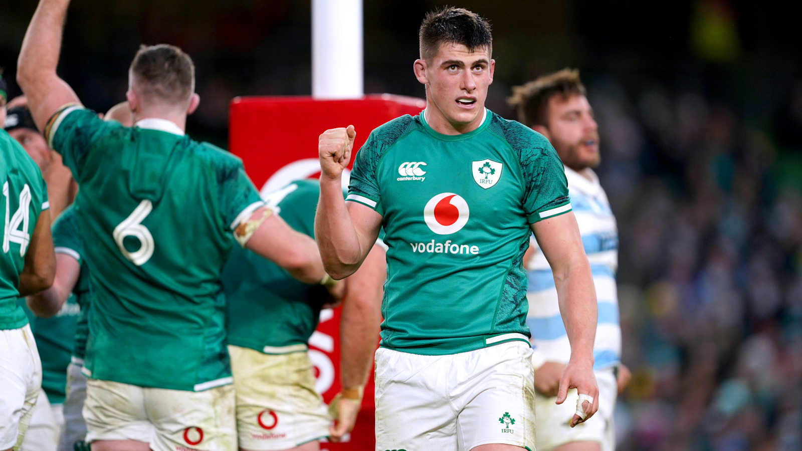 Ireland hooker Dan Sheehan celebrates after a Test against Argentina.