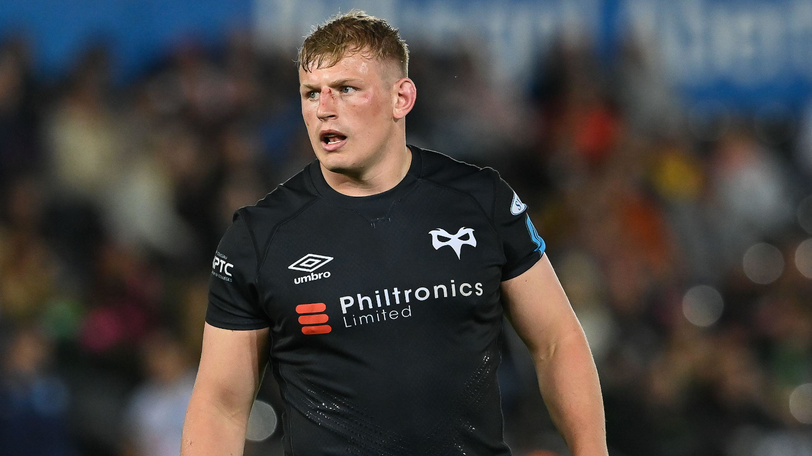 Jac Morgan: Wales back-row inks Ospreys extension while Scarlets snap up Bristol Bears star