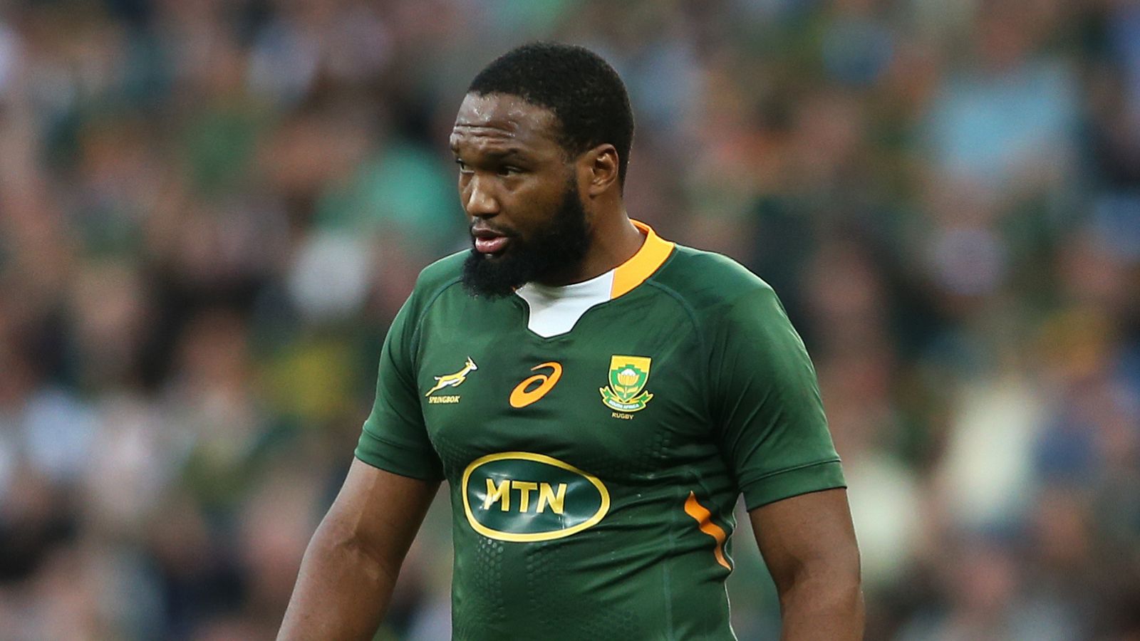 Springboks centre Lukhanyo Am.