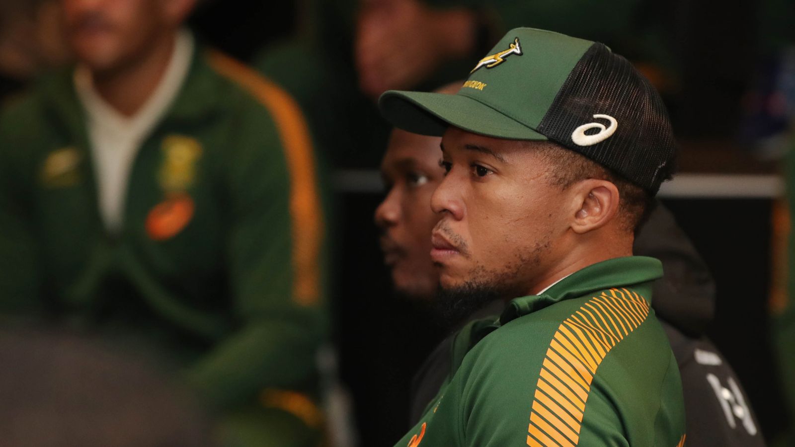 Springboks keep Elton Jantjies’ option open with another ‘excellent’ backup