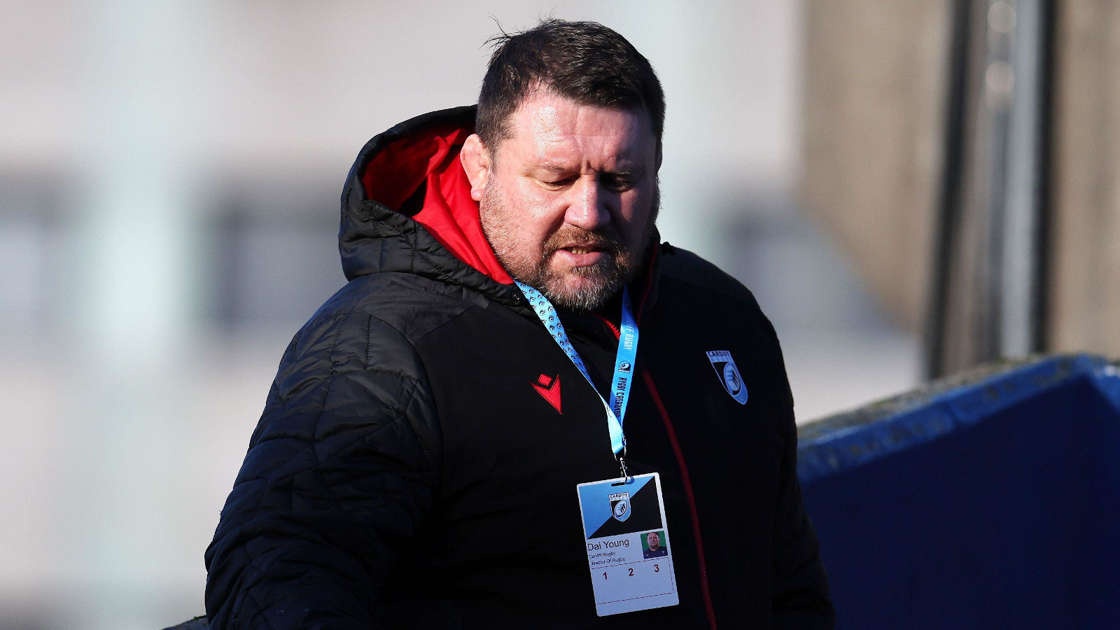 Dai Young as Cardiff director of rugby.