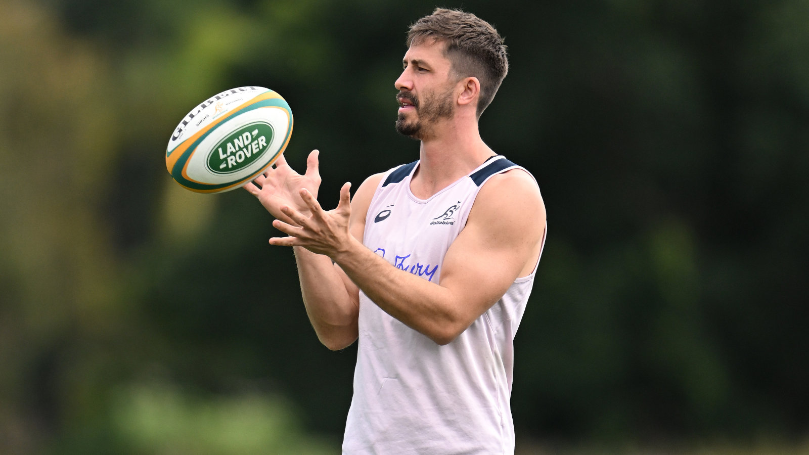 Wallaby’s stint at Toulon ends prematurely due to concussion setback