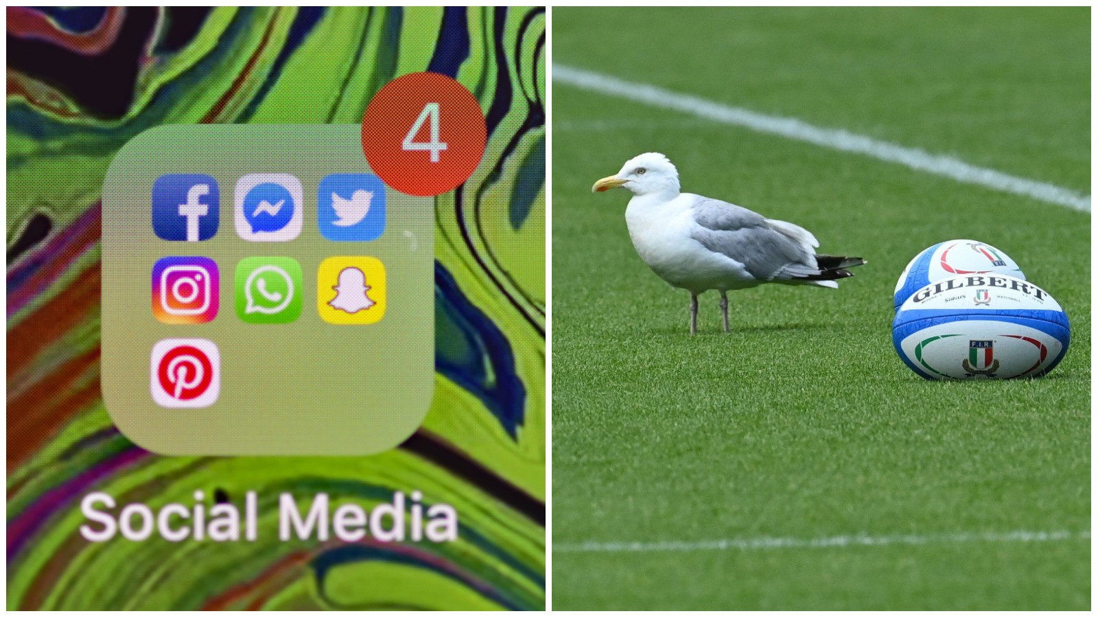 Sunday Social with seagull at Murrayfield.