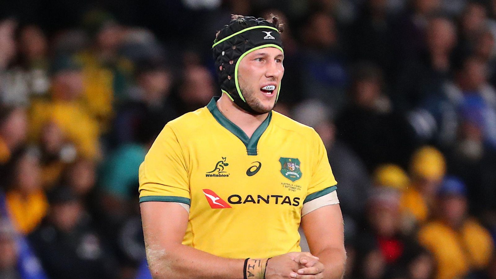 Adam Coleman of the Wallabies during a World Cup warm-up match