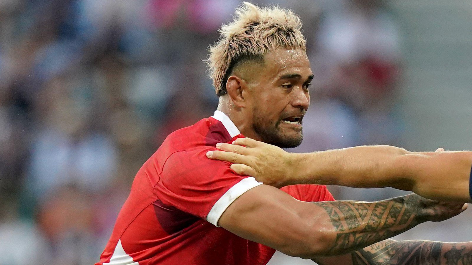 Vaea Fifita Tonga v Scotland RWC 2023 - Alamy.jpg
