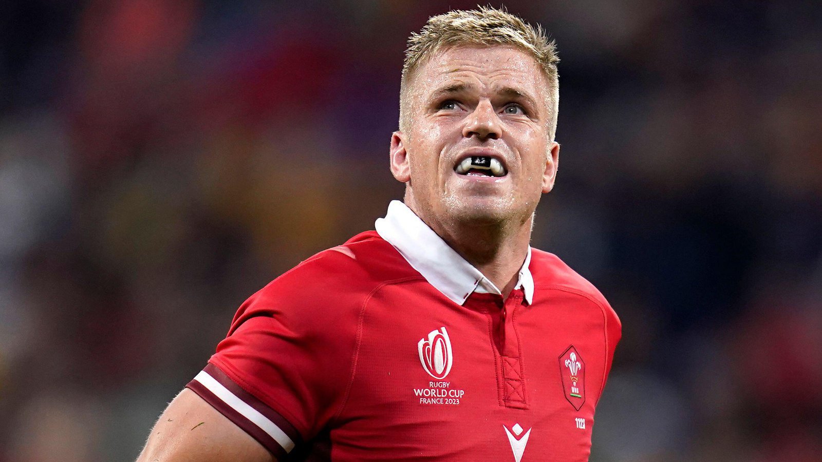 Gareth Anscombe gets some stick from Dan Biggar despite heroics against Wallabies