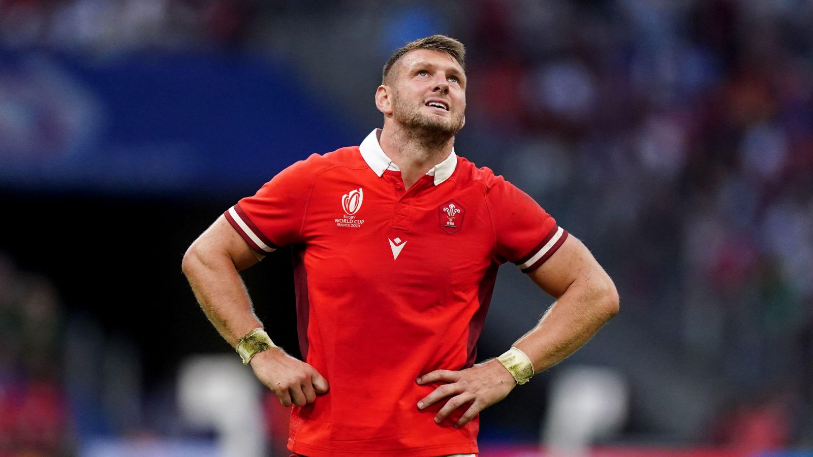 Wales player ratings: Dan Biggar finishes strong despite Rugby World Cup exit