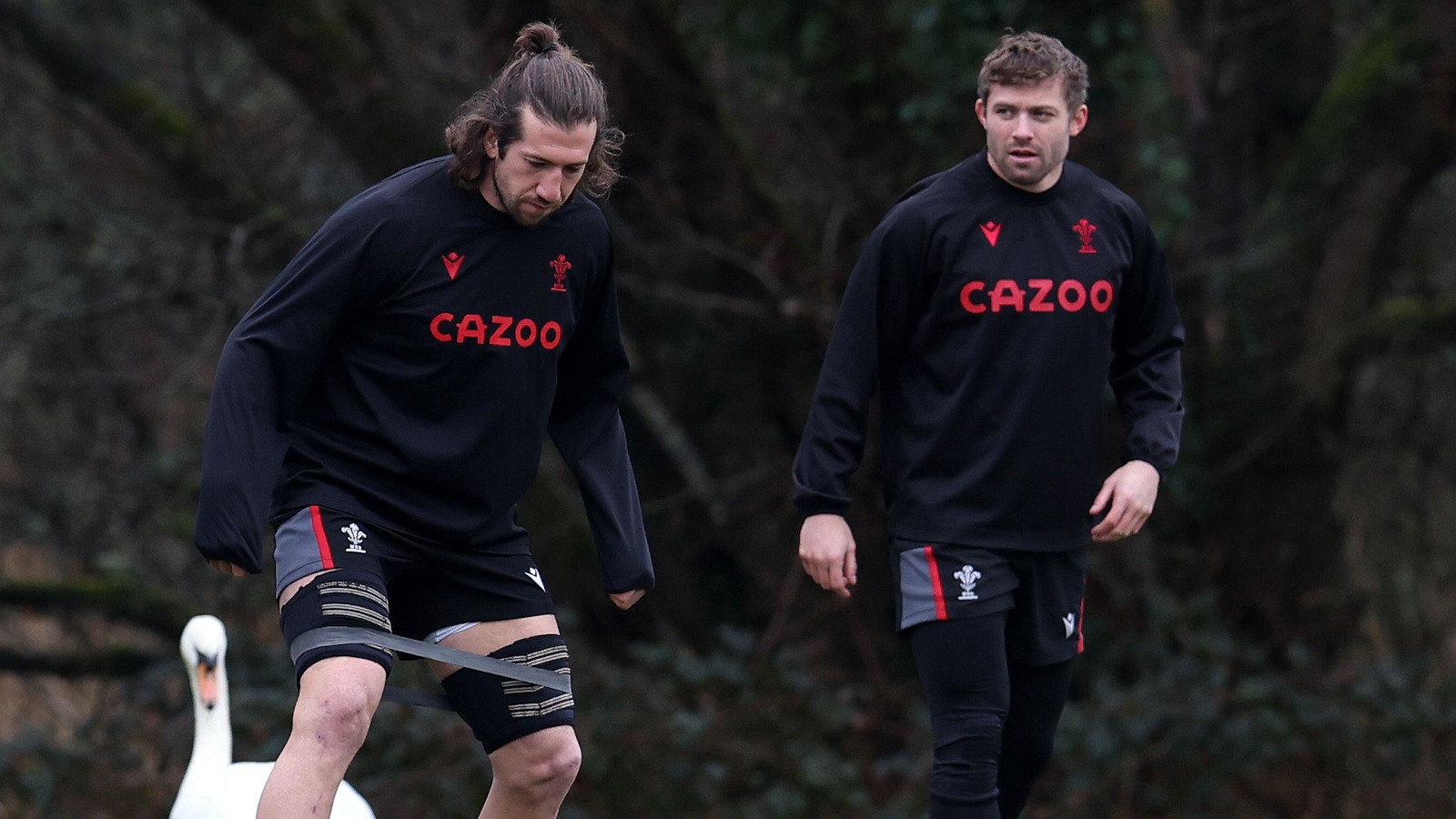 Justin Tipuric to miss Ospreys v Sharks clash for ‘once in a lifetime opportunity’