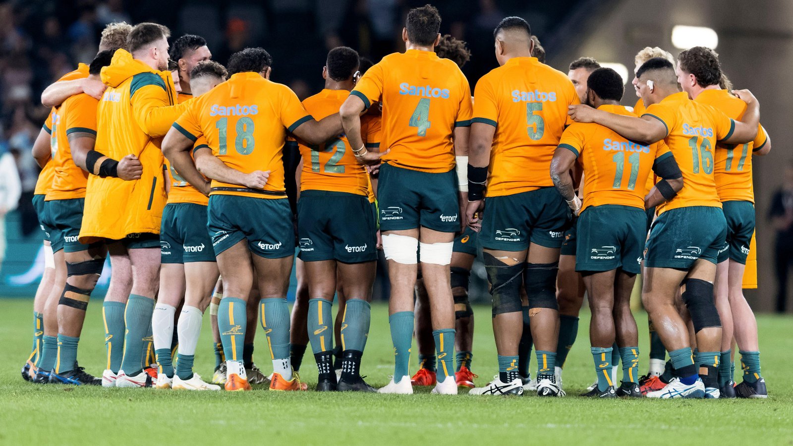 Rugby Australia make key appointments in bid to find new Wallabies coach