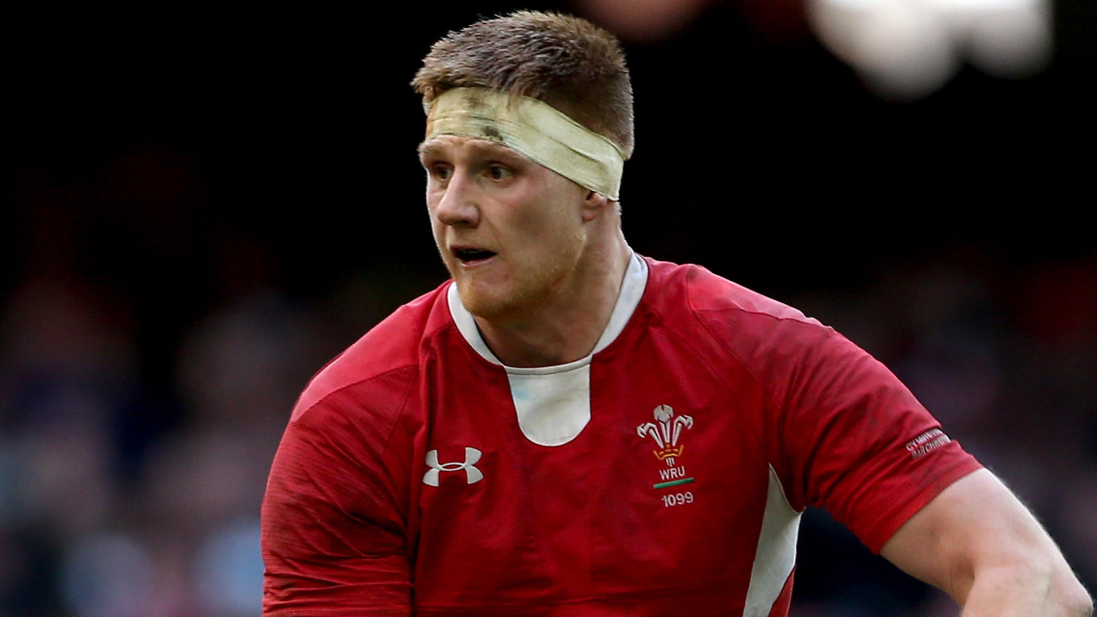 Andrew Coombs Wales SN 2013 - Alamy.jpg