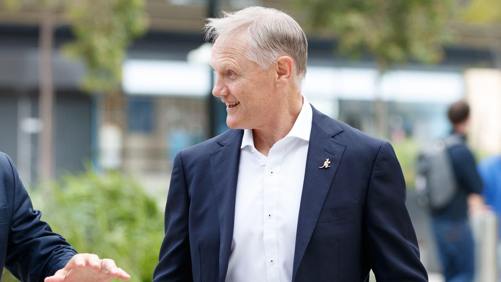 Joe Schmidt new Wallabies coach 2024 - Alamy.jpg