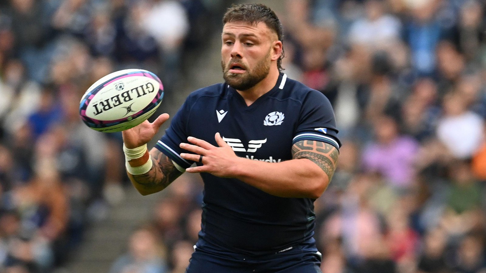 Rory Sutherland Scotland v Georgia 2023 -Alamy.jpg