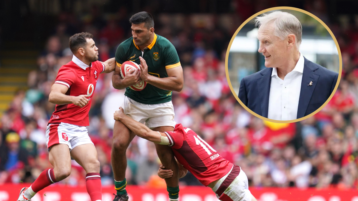 Springboks centre Damian de Allende and Wallabies boss Joe Schmidt.