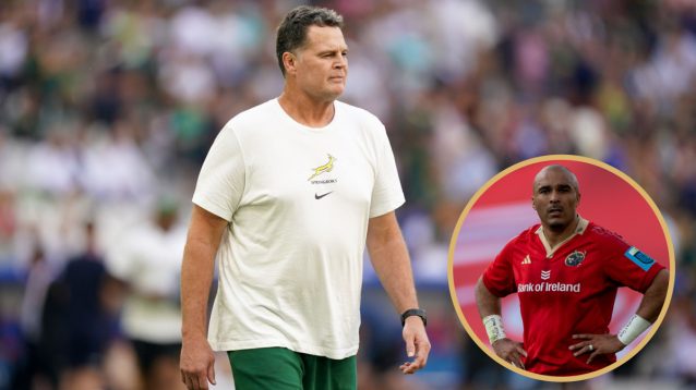 Simon Zebo: ‘Rassie Erasmus hates the Irish, he really, really doesn’t like us’