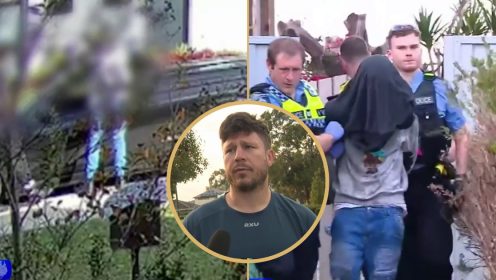 WATCH: Ex-rugby player Stander heroically chases down alleged stabber