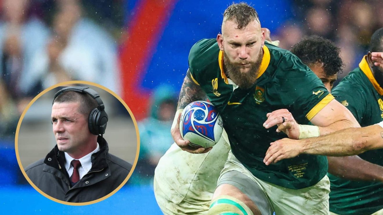 Springboks lock RG Snyman alongside ex-Ireland forward Alan Quinlan.