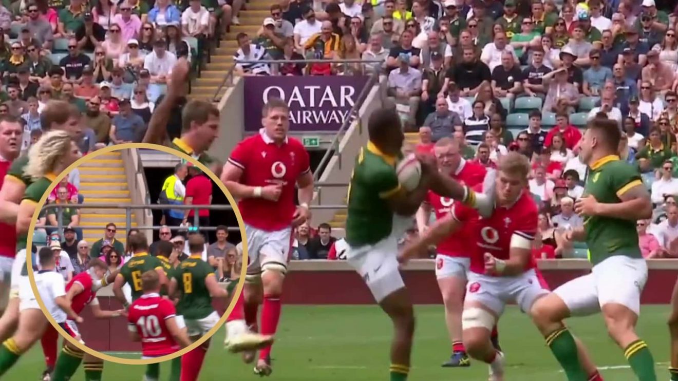 Aphelele Fassi kick during the Springboks Test with Wales.