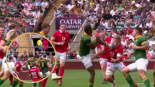 ‘Absolutely no idea!’ – Aphelele Fassi yellow-carded for KUNG-FU kick on Springboks return