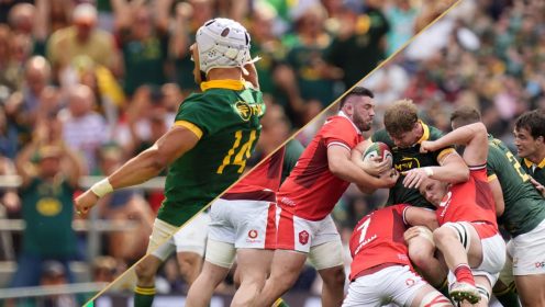 Springboks player ratings: ‘Extraordinary’ Edwill shines on debut as the pack obliterates Wales