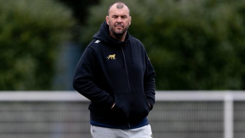 Michael Cheika headlines Premiership club’s shortlist after coach’s shock sacking