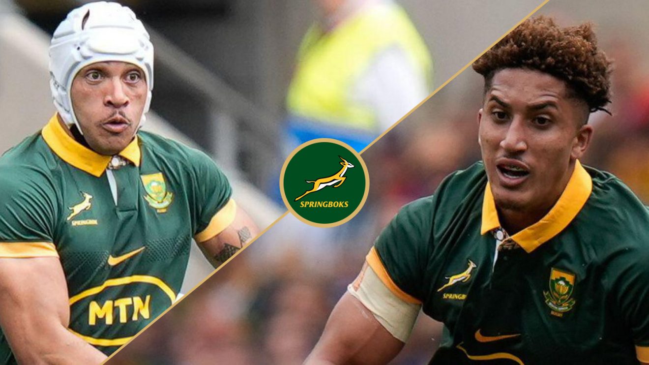 Springbok winners and losers v Wales image.jpg