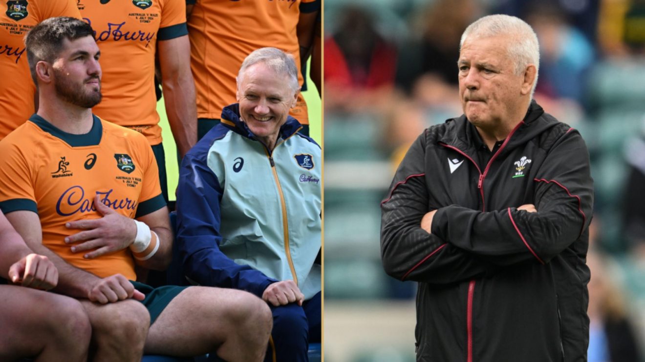Split with Wallabies coach Joe Schmidt and Wales coach Warren Gatland.