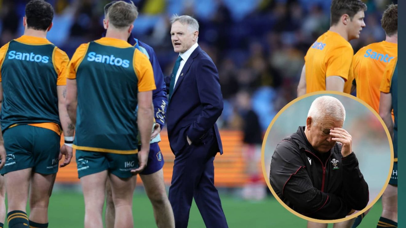 Wallabies head coach Joe Schmidt and Wales boss Warren Gatland.