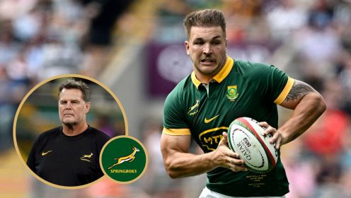 Rassie Erasmus releases nine Springboks for Currie Cup duty, Sharks the big benefactors