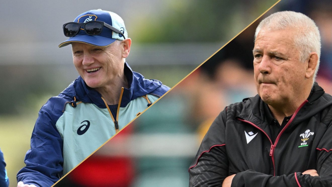 Split with Wallabies coach Joe Schmidt and Wales coach Warren Gatland.