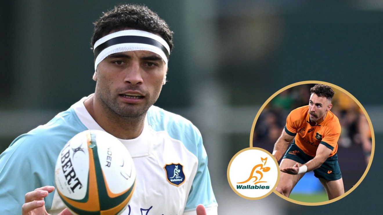 Alex Hodgman and Nic White Wallabies.jpg