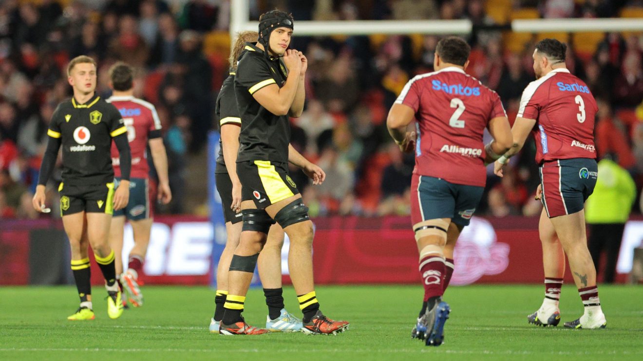 Wales second-row Dafydd Jenkins against Reds.