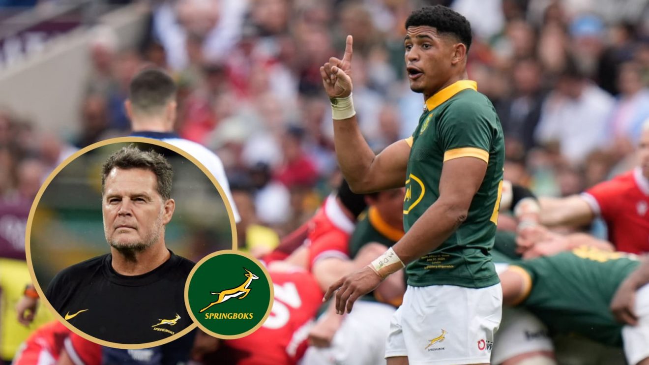 Sacha Feinberg-Mngomezulu for Springboks and head coach Rassie Erasmus.