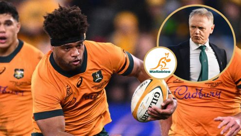 Rugby Championship preview: Wallabies to continue revival under Joe Schmidt but fall well short in title push