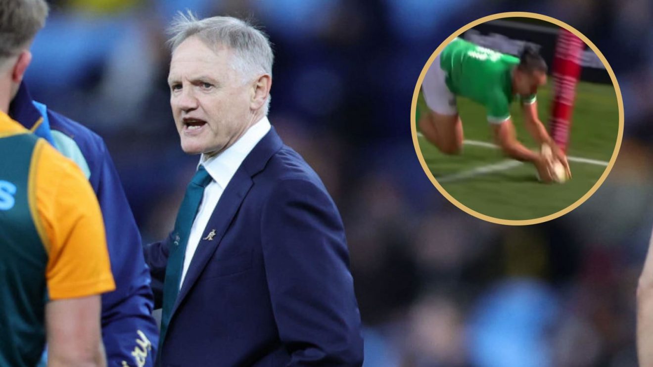 Wallabies head coach Joe Schmidt and James Lowe's disallowed try against the Springboks.