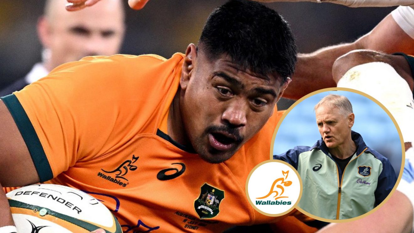 Will Skelton and Joe Schmidt image