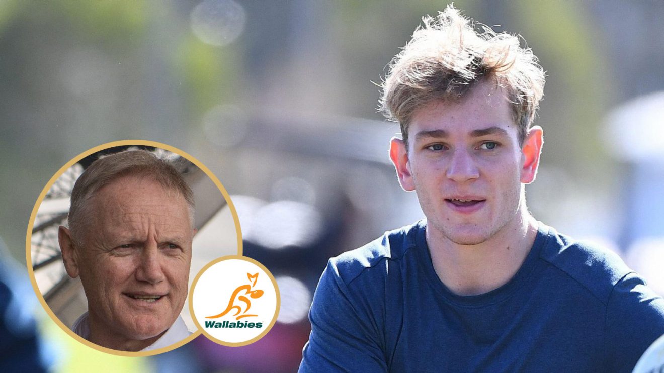 Joe Schmidt and Max Jorgensen Wallabies image