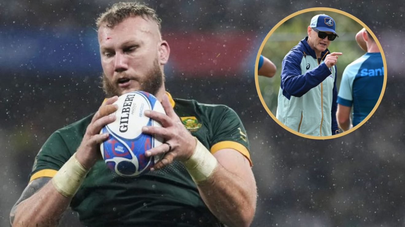 Springboks lock RG Snyman speaks ahead of Wallabies clash.