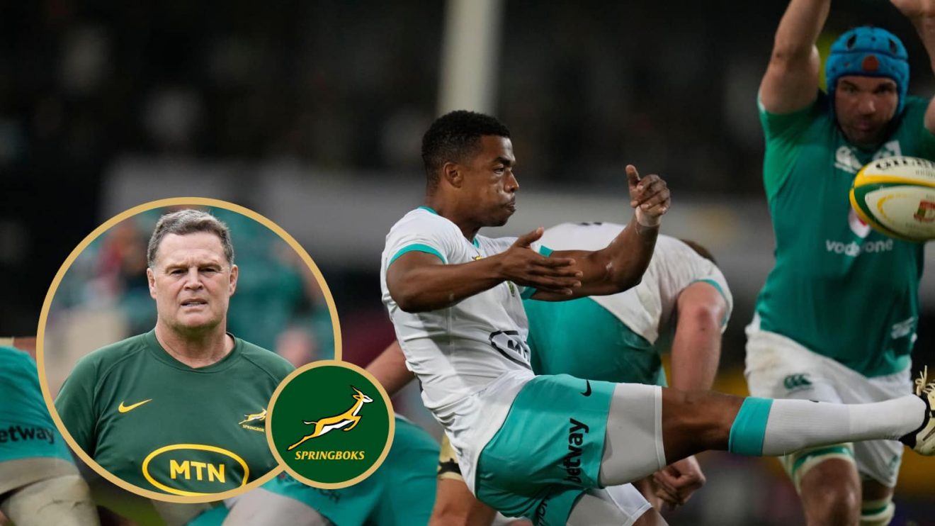Springboks head coach Rassie Erasmus and scrum-half Grant Williams box kicking.