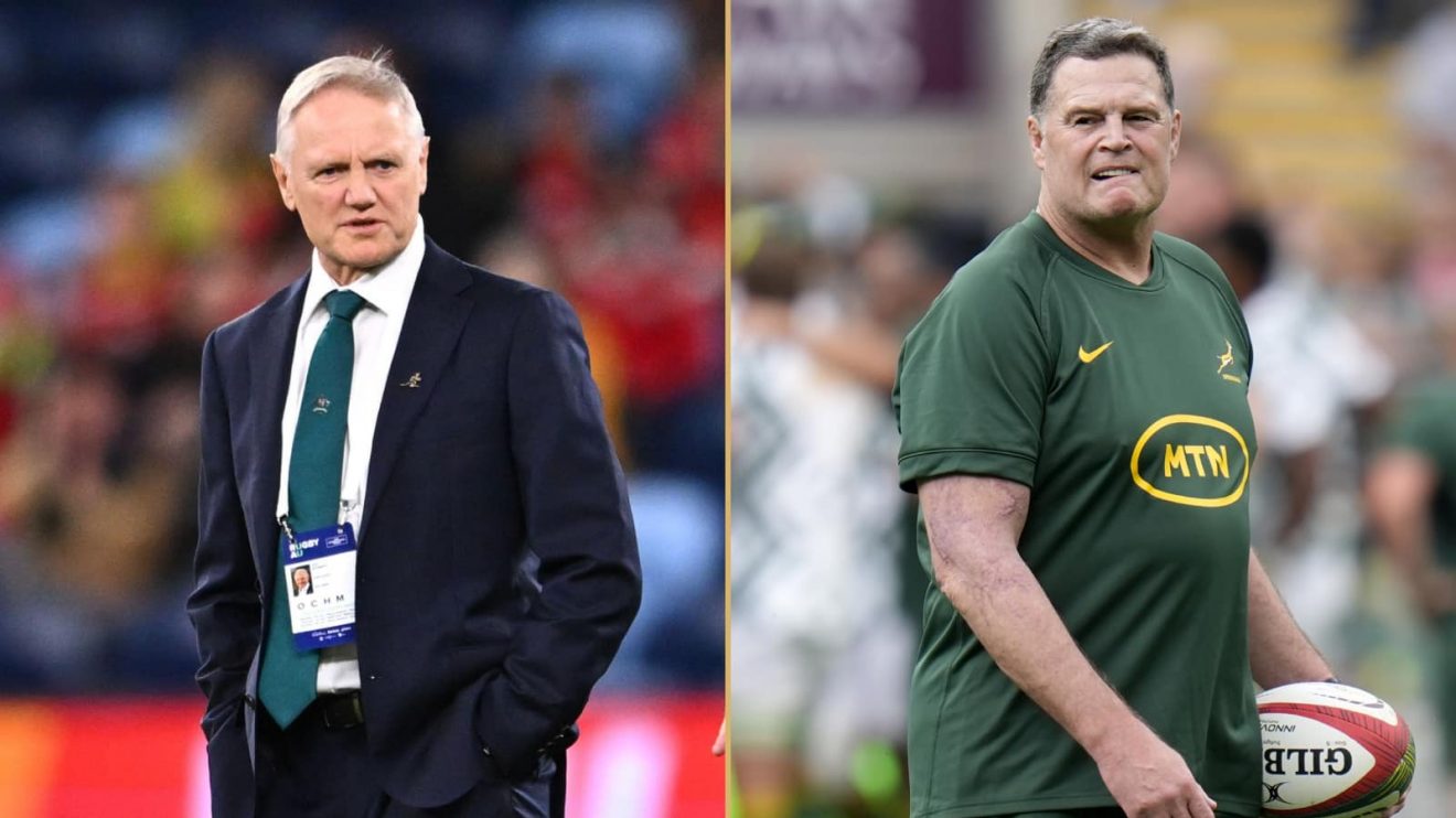 Australia v Springboks head coaches Joe Schmidt and Rassie Erasmus.