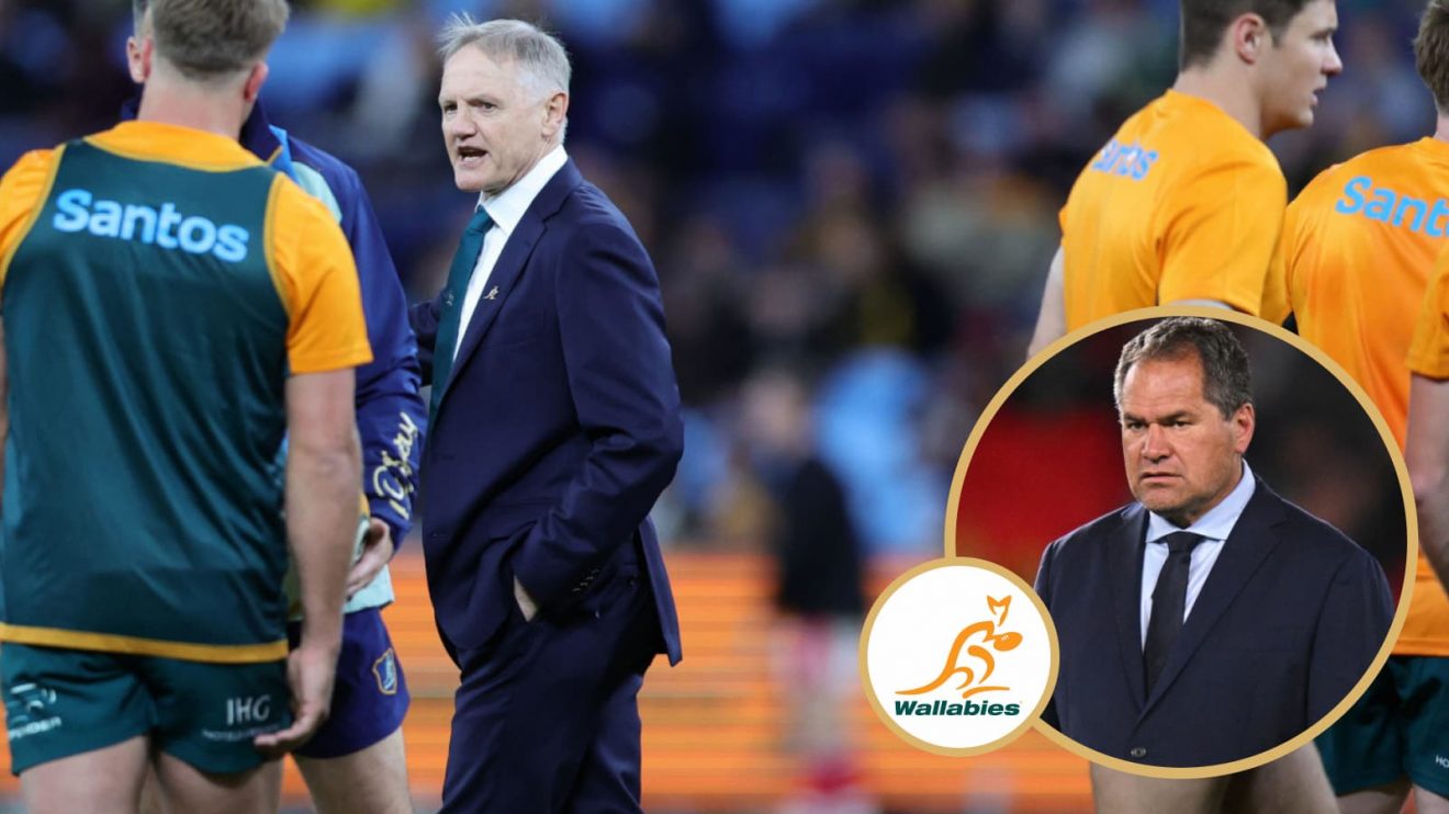 Current Wallabies head coach Joe Schmidt and former boss Dave Rennie, who are both New Zealanders.