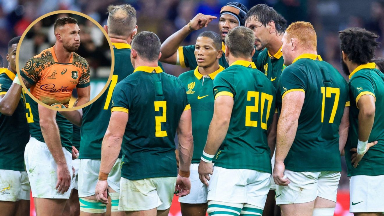 Quade Cooper and Springboks image